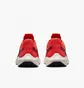 Кросівки чоловічі Nike Pegasus Turbo Next Nature Orange DM3413-600