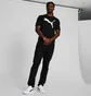 Футболка мужская Puma Essentials Big Cat Black 678890-01