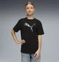 Футболка дитяча Puma Ess Graphic Animal Black 692491-01