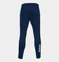 Штани чоловічі Joma Eco Championship Long Pants Blue 102752.342