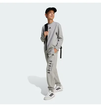 Свитшот детский Adidas All Szn Graphic Grey JC7642