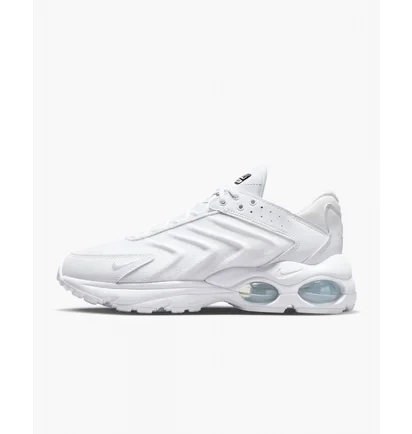 Кросівки чоловічі Nike Air Max Tw MenS Shoes White DQ3984-102