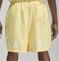 Шорты мужские Air Jordan Essentials Yellow Dm1371-821