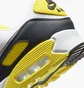 Кросівки чоловічі Nike Air Max 90 Multi DM0029-111
