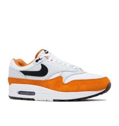 Кроссовки мужские Nike Air Max 1 Grey/Brown FN6952-101