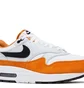 Кроссовки мужские Nike Air Max 1 Grey/Brown FN6952-101