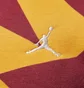 Худи мужское Air Jordan Flight Mvp Multi FB7014-619