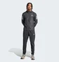 Олимпийка мужская Adidas Own The Run Jacket Black IN1483