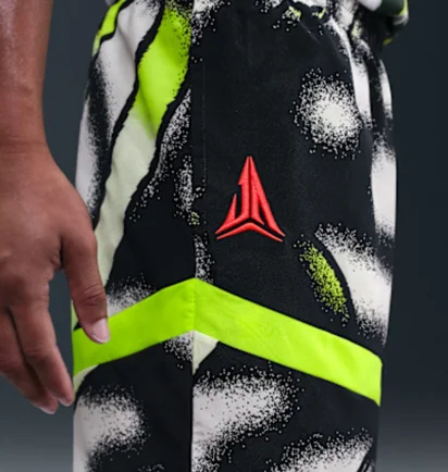 Шорты мужские Nike Dri-Fit 6 Multi HV3388-736