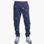 Штани чоловічі Nike Club Fleece Blue FB7437-410