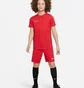 Футболка детская Nike Dri-Fit Academy 23 Red DR1343-657