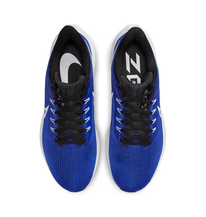 Кроссовки мужские Nike Air Zoom Pegasus 39 Blue Dh4071-400