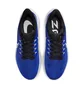 Кроссовки мужские Nike Air Zoom Pegasus 39 Blue Dh4071-400