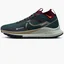 Кросівки жіночі Nike React Pegasus Trail 4 Gtx Green DJ7929-302
