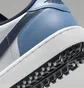 Кросівки унісекс Air Jordan 1 Low G Golf Shoes Blue/White DD9315-115