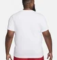 Футболка мужская Nike Futura 2 Tee White Dz3279-100