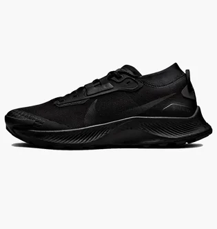 Кроссовки мужские Nike Pegasus Trail 3 Gtx Black DC8793-001