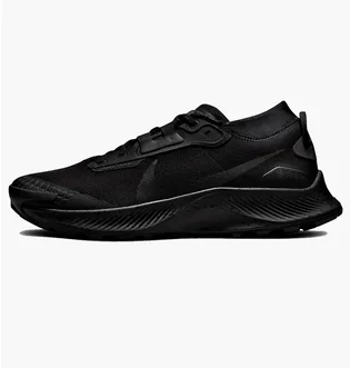 Кроссовки мужские Nike Pegasus Trail 3 Gtx Black DC8793-001