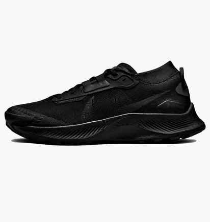 Кроссовки мужские Nike Pegasus Trail 3 Gtx Black DC8793-001