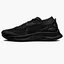 Кроссовки мужские Nike Pegasus Trail 3 Gtx Black DC8793-001