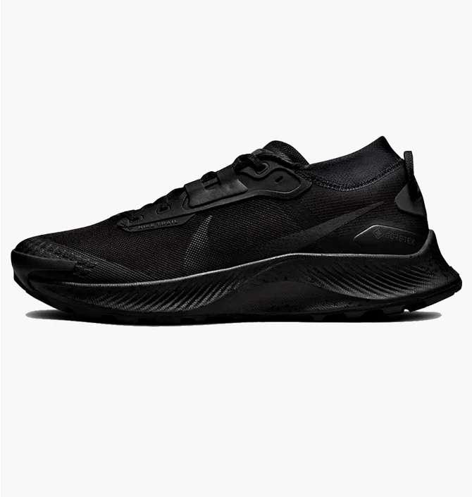 Кроссовки мужские Nike Pegasus Trail 3 Gtx Black DC8793-001