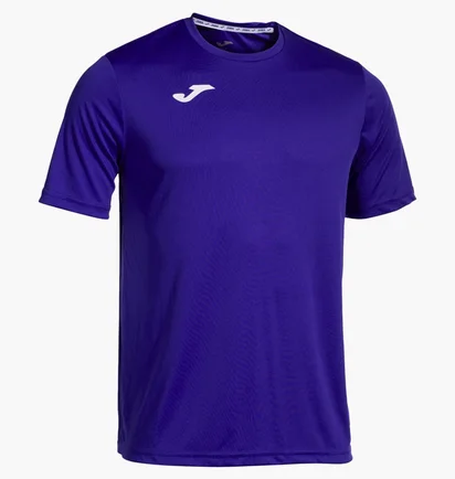 Футболка мужская Joma Combi Blue 100052.550