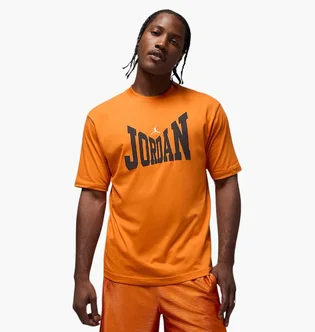 Футболка чоловіча Air Jordan Brk Col Wm Ss Orange HV3894-805