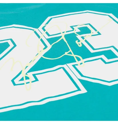 Футболка чоловіча Air Jordan Essentials Flight 23 Graphic Tee Tshirt Turquoise DM1428-392