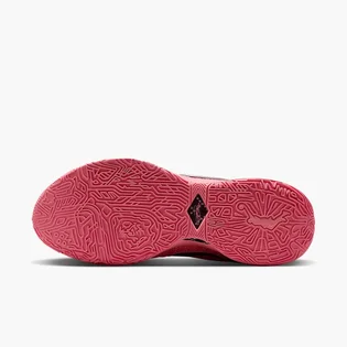Кросівки жіночі Nike Lebron Xx Pink DJ5423-600