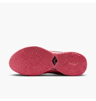 Кроссовки женские Nike Lebron Xx Pink DJ5423-600