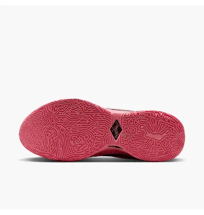 Кроссовки женские Nike Lebron Xx Pink DJ5423-600