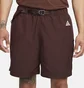 Шорты мужские Nike Acg Trail Shorts Brown CZ6704-227