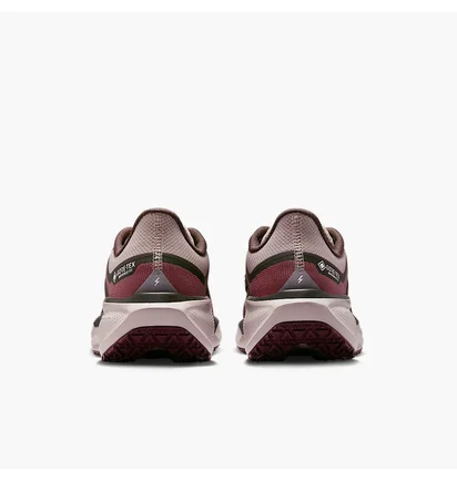 Кросівки жіночі Nike Pegasus 41 Gore Tex Bordo FQ1357-200