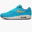 Кроссовки мужские Nike Air Max 1 Premium Light Blue FB8915-400