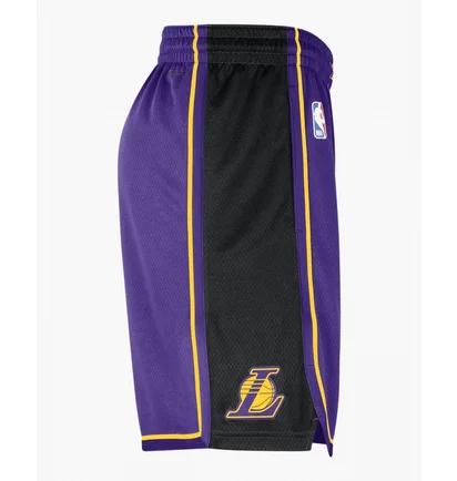 Шорти чоловічі Air Jordan Dri-Fit Nba Swingman Los Angeles Lakers Statement Edition Violet DO9432-504