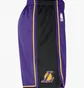 Шорти чоловічі Air Jordan Dri-Fit Nba Swingman Los Angeles Lakers Statement Edition Violet DO9432-504
