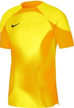 Футболка мужская Nike Jersey Dri-Fit Adv Gardien 4 Goalkeeper Ss Yellow DH7760-719