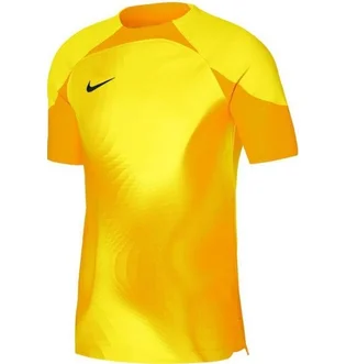 Футболка чоловіча Nike Jersey Dri-Fit Adv Gardien 4 Goalkeeper Ss Yellow DH7760-719