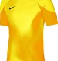 Футболка чоловіча Nike Jersey Dri-Fit Adv Gardien 4 Goalkeeper Ss Yellow DH7760-719