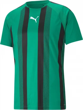 Футболка мужская Puma Teamliga Striped Jersey Green 704920-05
