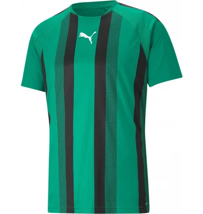 Футболка мужская Puma Teamliga Striped Jersey Green 704920-05