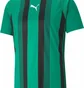 Футболка мужская Puma Teamliga Striped Jersey Green 704920-05