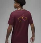 Футболка чоловіча Air Jordan Flight Mvp Barbed Wire Graphic T-Shirt Bordo Dv1443-680