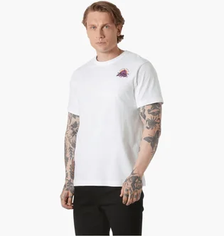 Футболка мужская Helly Hansen Core Graphic T 2.0 White 54599-002