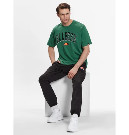 Футболка мужская Ellesse Colombia 2 Tee Shr17640-503 Green SHR17640-503
