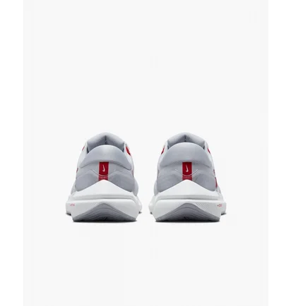 Кросівки жіночі Nike Vomero 16 Grey Da7698-005
