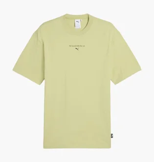 Футболка мужская Puma Graphics The Cat Green 629411-37