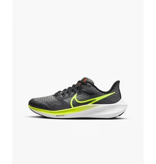 Кроссовки детские Nike Air Zoom Pegasus 39 Gs Grey DM4015-002