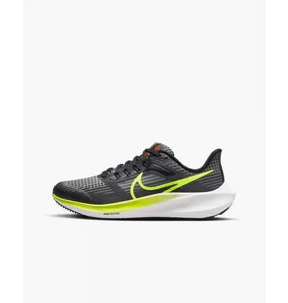 Кроссовки детские Nike Air Zoom Pegasus 39 Gs Grey DM4015-002