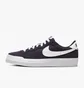 Кеды женские Nike Sb Pogo Violet Dr9114-500